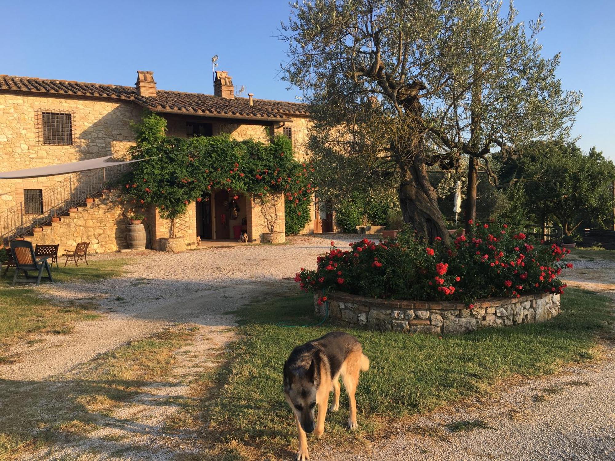 Agriturismo Podere Dell' Olmo Amelia Exterior photo