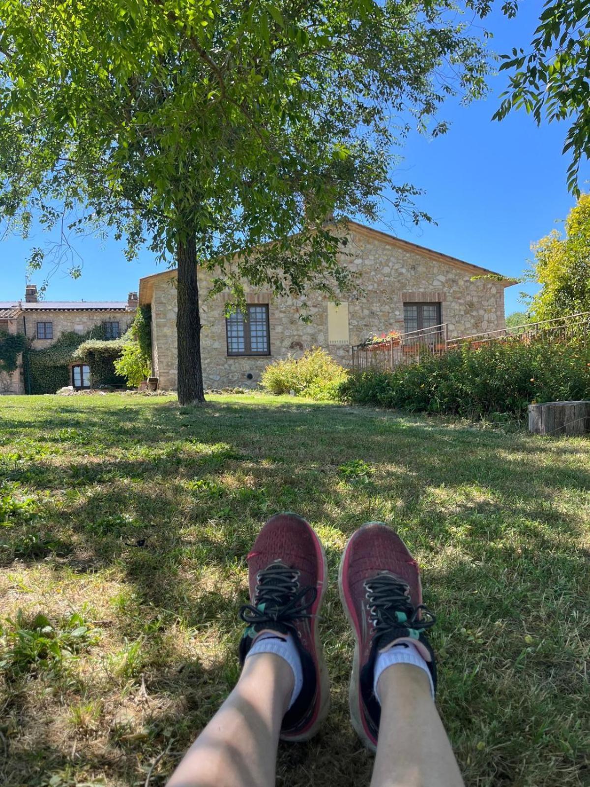 Agriturismo Podere Dell' Olmo Amelia Exterior photo