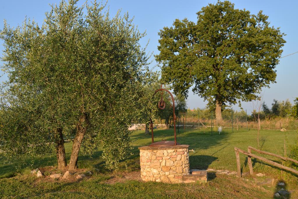 Agriturismo Podere Dell' Olmo Amelia Exterior photo