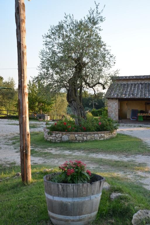 Agriturismo Podere Dell' Olmo Amelia Exterior photo